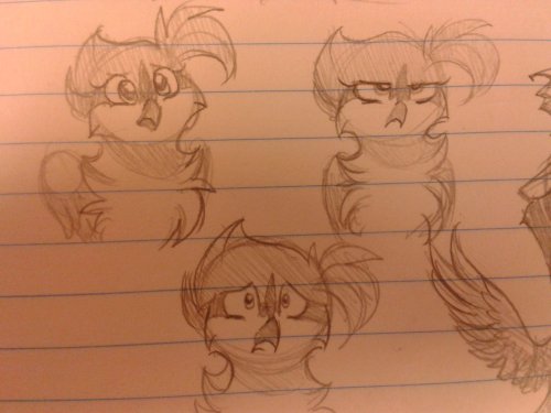 ask-azula-griffon:  Some azulas <3   x3 Cute kittybird :p