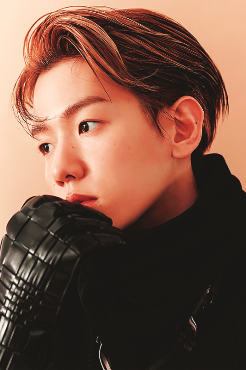 exo-stentialism:BAEKHYUN ✶ HARPER’S BAZAAR