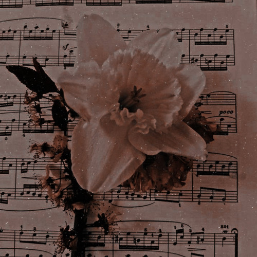 imsogifull - 𝗚𝟏's ɢɪʀʟ ۰ ⸂ぬ ࣪˖ ⋆ ࣪ 🕷 !