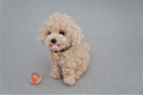  A needle felted beige poodle.  Have a great evening!