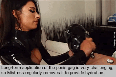 servant4you: