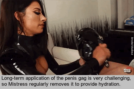 servant4you: