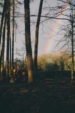 r2&ndash;d2:  Rainbow by (Paul Munford) 