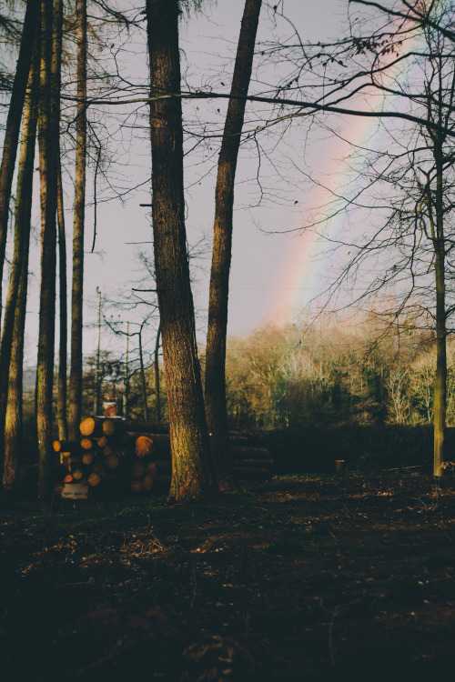 r2–d2:  Rainbow by (Paul Munford) 