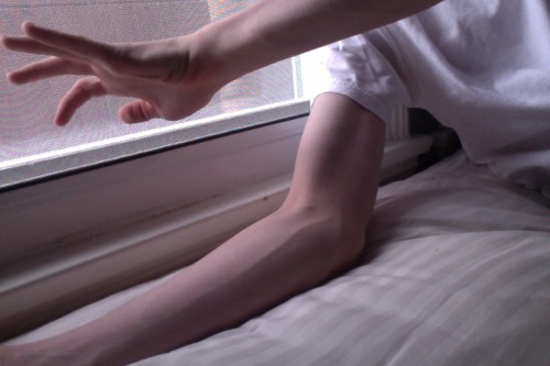 𝑑𝑒𝑙 𝑐𝑎𝑜𝑠, 𝑢𝑛 𝑎𝑟𝑡𝑒