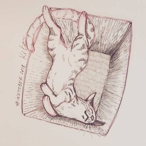 Day 2. Tranquil Happy kitty, sleepy kitty, purr purr purr. Котя не сдох, он спит) #inktober #inktobe