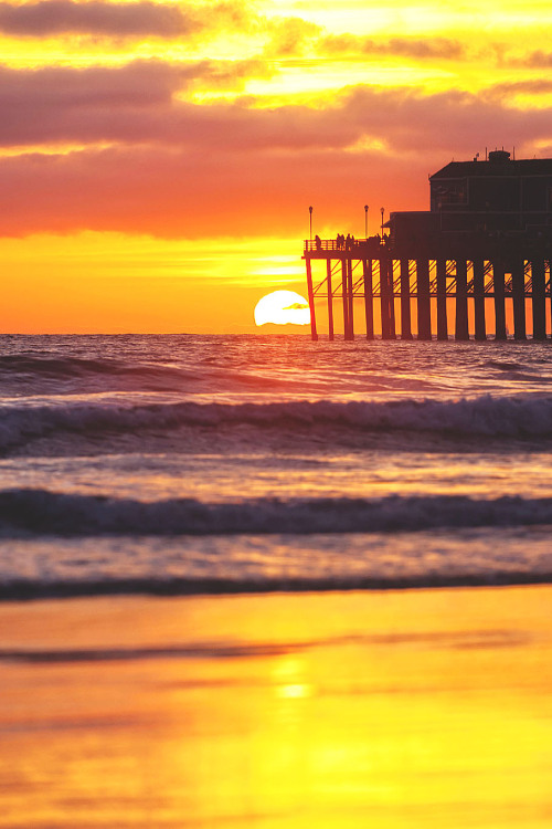 wavemotions:  By Rich Cruse