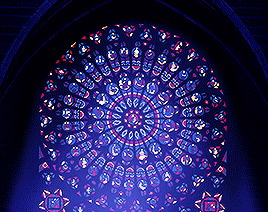 moffiarty:‘Notre Dame’ is not the name of the cathedral. The full name is Cathédrale Notre-Dame de P