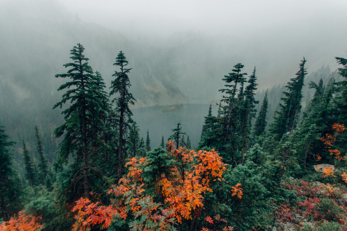 photosbygriffin: Fog in the distance