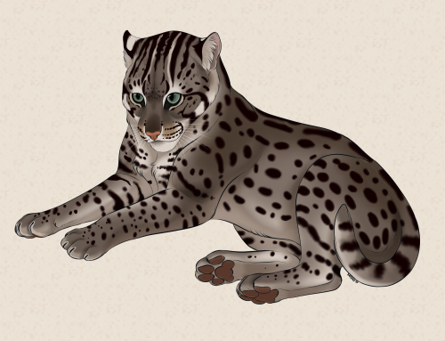 Day 3Fishing Cat