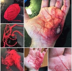 homeforhalloween:  Making veins:  Pull some