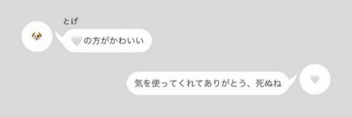 . GiRLS MANiA !!