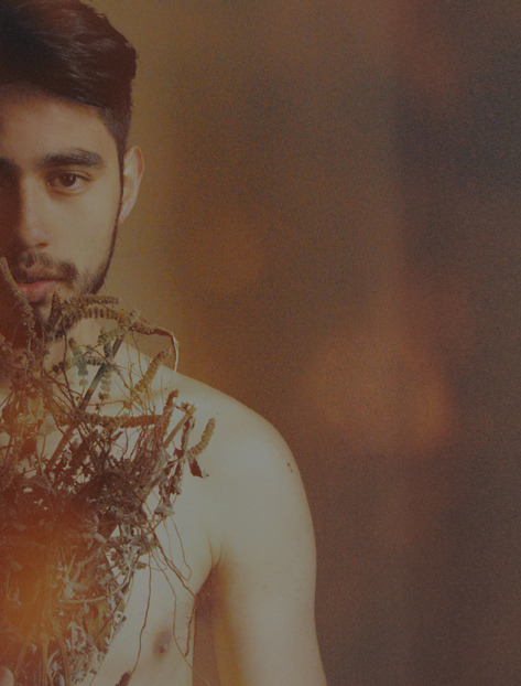 lookporn:  harvest by Felipe E. Mercado on Flickr. Lookporn. 