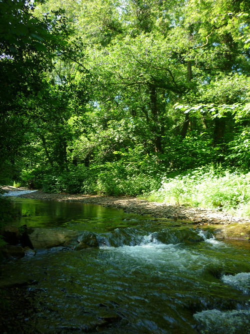 Bryngarw Country Park, Garw Valley, Bridgend - July 2013cool and lush and green on a baking hot summ