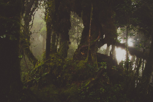 iwishiwasafairy:   untitled by Marty Mellway on Flickr.  
