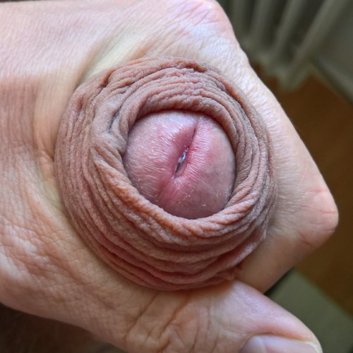 XXX My veiny penis. Foreskin and precum. photo