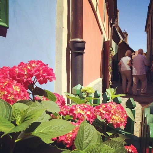 #zlata#ulicka #prague (在 Zlatá Ulička)