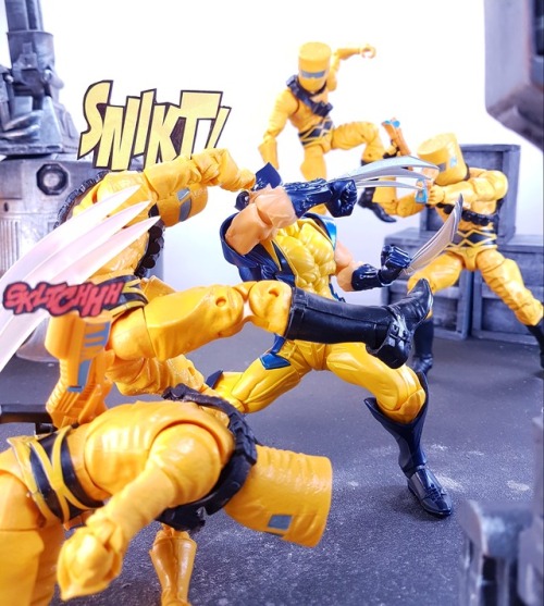 “Where is she??” #Marvel #MarvelLegends #AmazingYamaguchi #Wolverine #AIM#ACBA #Articu