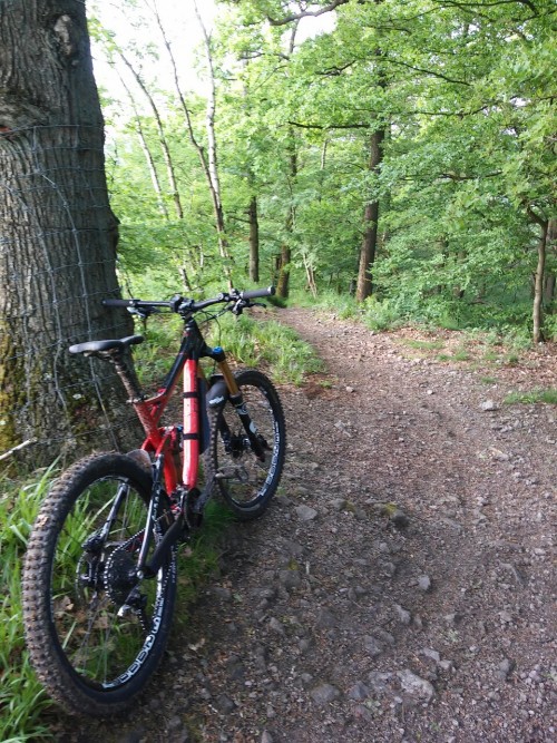 freeusebiker:  War heute mal mit dem Radon Swoop (Freeride) und mit neuen Conti TrailKing unterwegs.