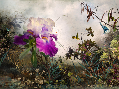 likeafieldmouse: Ysabel Lemay 1. Circa 2. Stillness 3. Ornatus 4. Illuminated II 5. Venus 6. The Tra