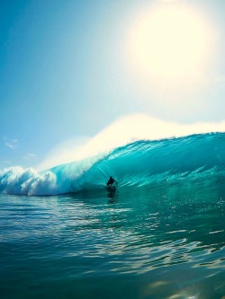 tellmeyourprettylies:  Yadin Nicol. Photo: