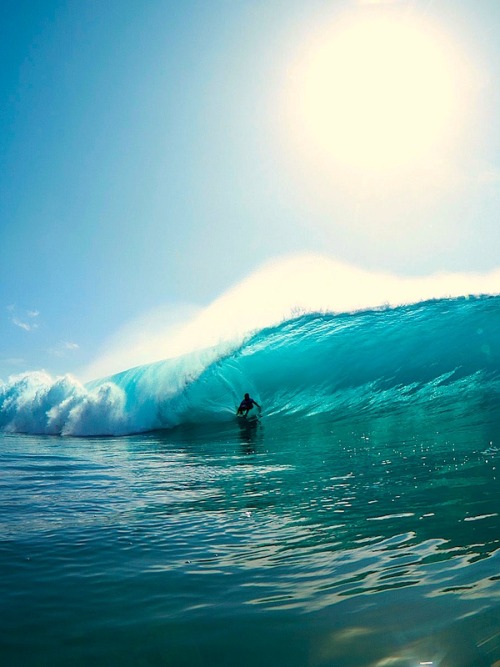 tellmeyourprettylies:  Yadin Nicol. Photo: Tom Carey 