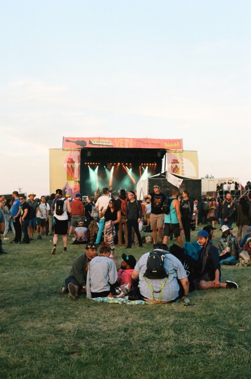 Sasquatch Music Festival at the Gorge Amphitheater in Washington on Kodak Ektar 100