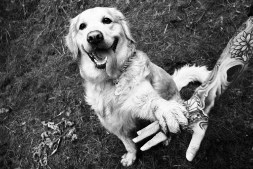 i-n-k-toxicated:  Cute!