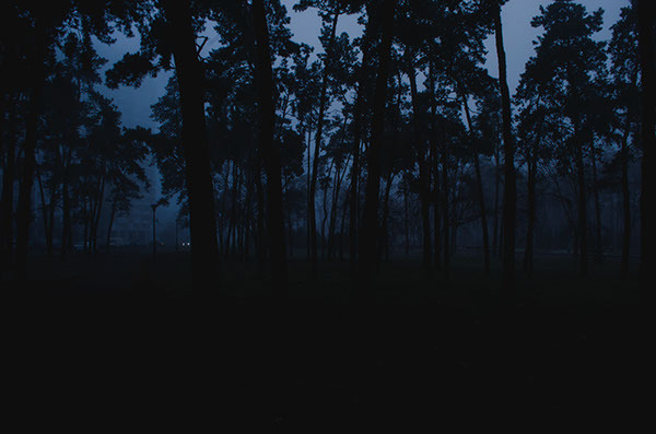 sicsen:  Glow Blog 