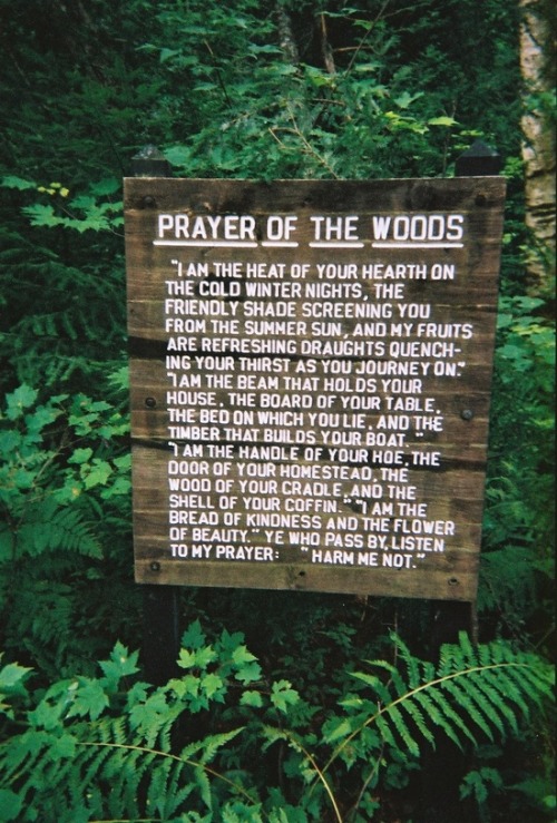 prayer of the woods