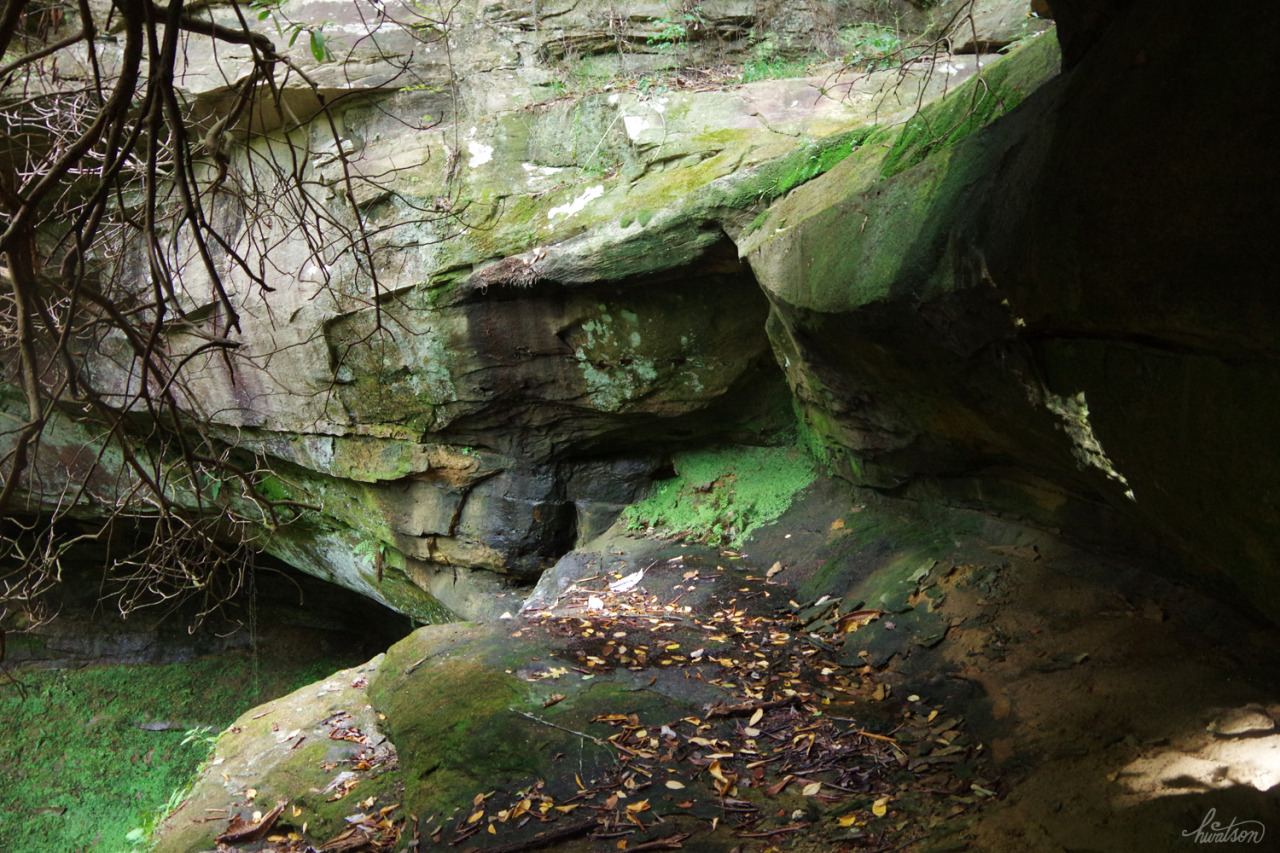 frolicingintheforest: For many years, we thought this was the only waterfall in the
