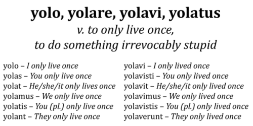 interretialia:likeavirgil:yeah so everyone thinks conjugating YOLO is funny and coolbut everyone for