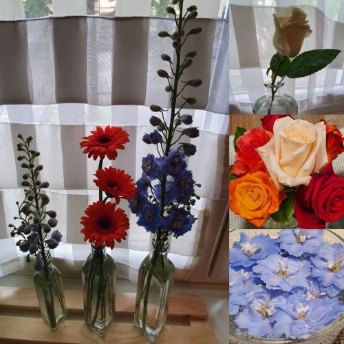 Farbenspiel Mit Neuen Formen #blumen #badcannstatt #markt #colour #formen (hier: Bad-Cannstadt, Baden-Wurttemberg,
