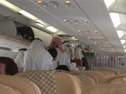 kanyemiddleast:  afrita-hanem:  the-greater-nawaf:  youngglobalcitizen:  Today on my flight from Riyadh, Saudi Arabia to Abu Dhabi, UAE a man came on board with four falcons as his carryon luggage. Ends up they got their own seats (three to be exact).