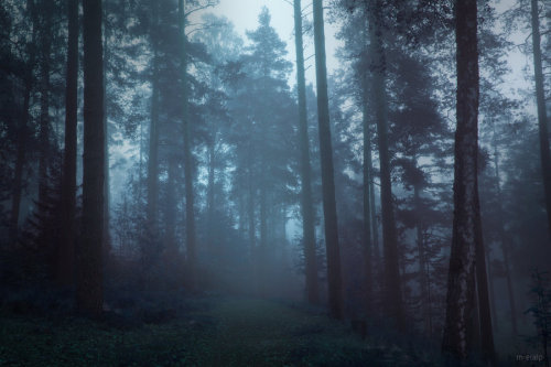 celtic-forest-faerie:  {Deep Silence} by {M-eralp}