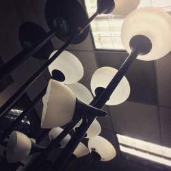 DAY ONE HUNDRED AND NINETY EIGHT. A forest of lamps has appeared in @drlawyercop&rsquo;s and @wade_mcintyre&rsquo;s office. #the100