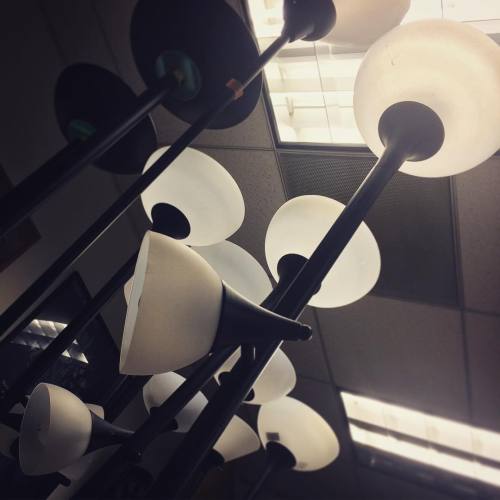 DAY ONE HUNDRED AND NINETY EIGHT. A forest of lamps has appeared in @drlawyercop’s and @wade_mcintyre’s office. #the100