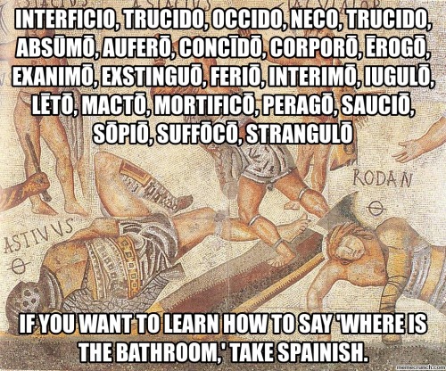 stickfiguregods:Why I study Latin :)