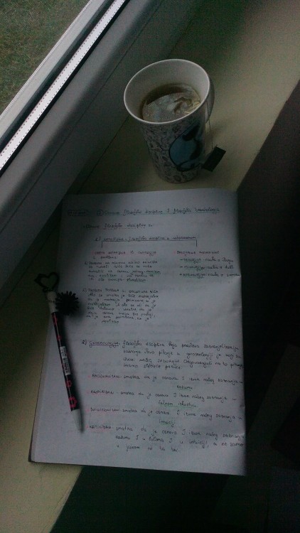 studyhardstayhappy: 10.09.2015. Quiet philosophy revision sesh on a rainy day (finally) ^^