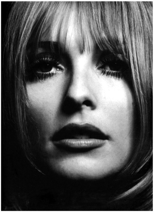 robertocustodioart:Sharon Tate by Philippe Halsman 1966