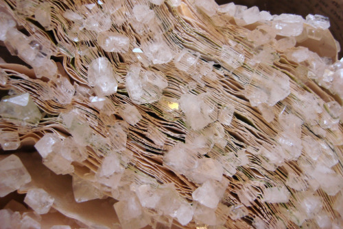 itscolossal:Books, Magazines and Computer Manuals Turned Into Crystallized Sculptures by Alexis Arno