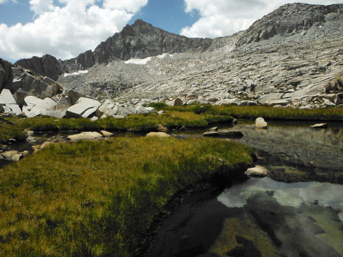 wildernessjournals: Mt. Reinstein. The pass is to the right. Sequoia-Kings Canyon National Parks, SE