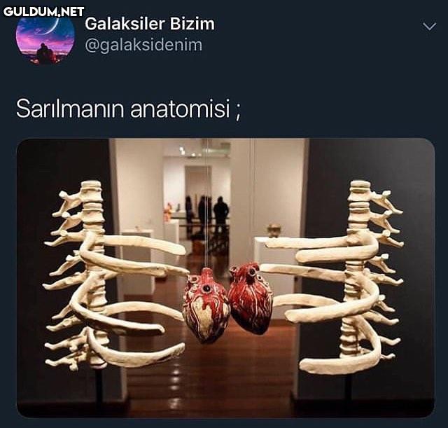 Sarılmanin anatomisi

...