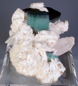 mineralists:  Stunning specimen featuring Tourmaline var. Indicolite crystals with Topaz and Quartz on Albite.Shigar Valley, Northern Areas of Pakistan