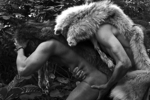 Gay Male Pagan & Wiccan Tribe