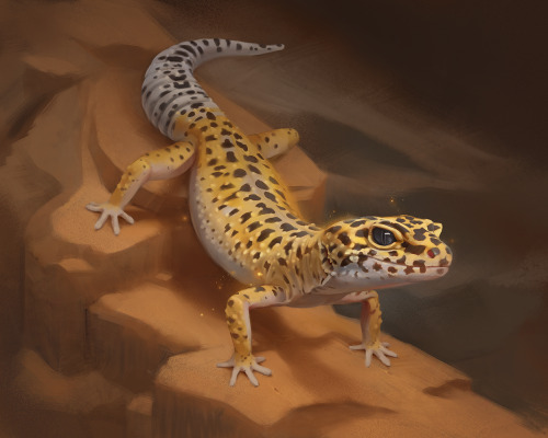 leopard gecko art