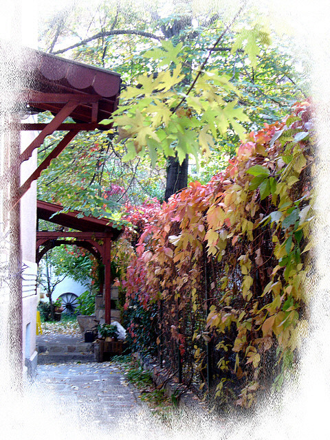 Autumn Retro:) by Stella VM on Flickr.Entrance of a house in an old part of the center of Sofia, Bul