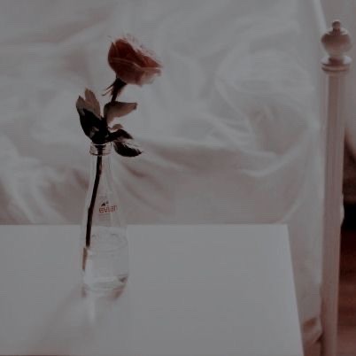 ( ) Felix Fathom / !