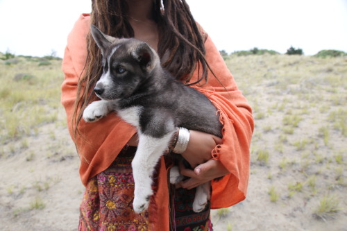 nourishmydirt:  Gypsy appreciation photos of the day.