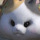 creepypastas dont scare me because i know that somewhere on youtube theres a video of that creepypasta being in a yaois with another creepypasta and so theyre not scary anymore